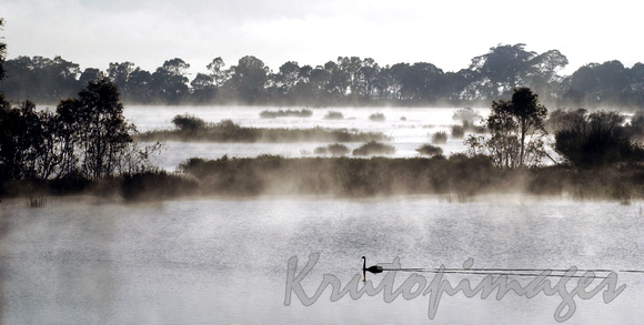 Wetlands Gippsland Lakes as early fog lifts