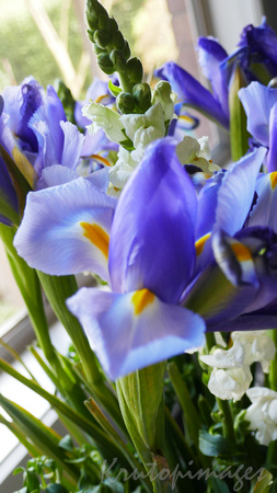 Iris- a floral bunch.