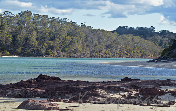 Lone fisherman in the shallows of a coastal inlet -Merimbula New South Wales