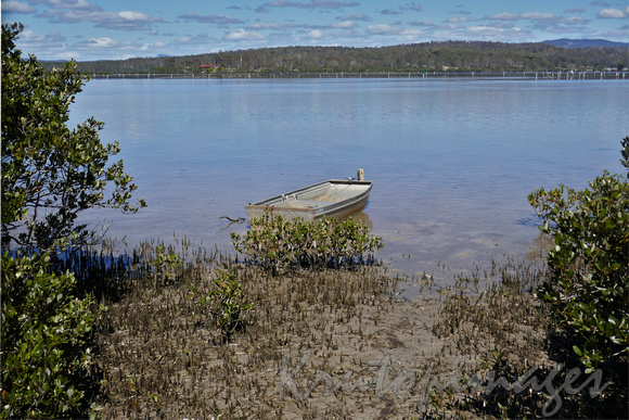 Flat bottomed tinny in the shallows & mangroves across from the oyster farms in Merimbula