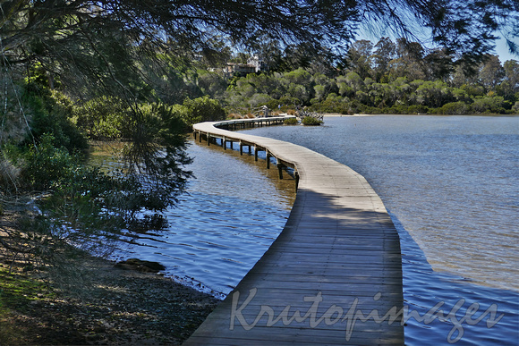 Merimbula boardwalk by the lake over mangroves and past oyster farms