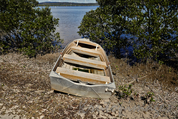 small boat in mangroves-wetlands at Merimbula
