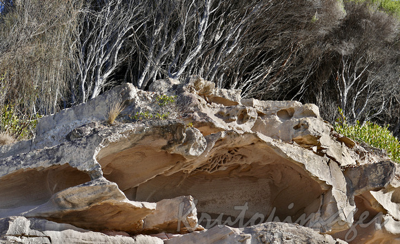 Pambula NSW-rocky terrain and interestinggeneric vegetation on the beach