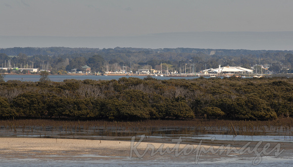 Hastings town and yatch club from across the mangroves