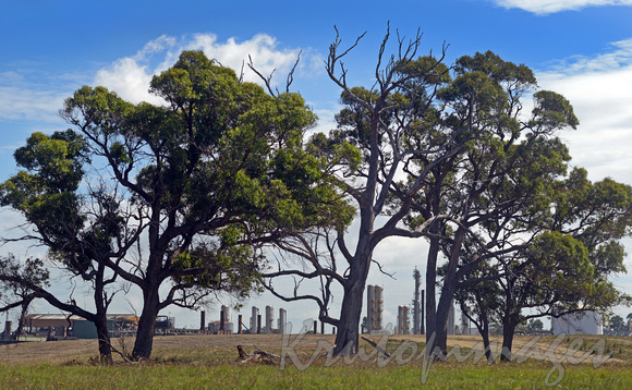 Longford refinery through trees Victoria Australia