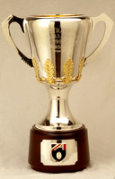 AFL Premiership Cup