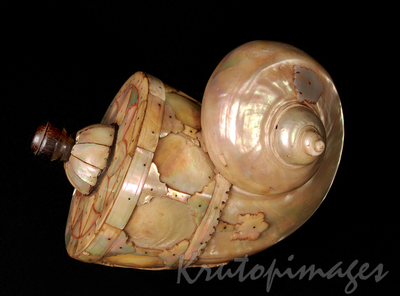 Sea Shell Powder Flask late 19th century -mother of pearl inlays