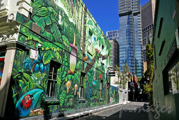 Melbourne Laneway at the top of Lonsdale street Melbourne 2020