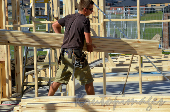 carpentry building industry