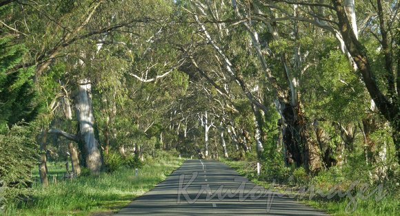 country road driving-New South Wales Australia