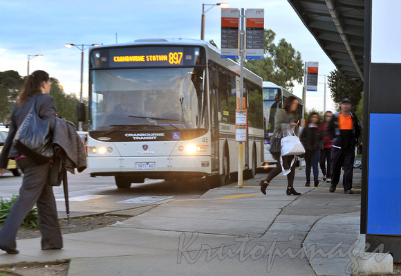 Local Bus -public trnsport