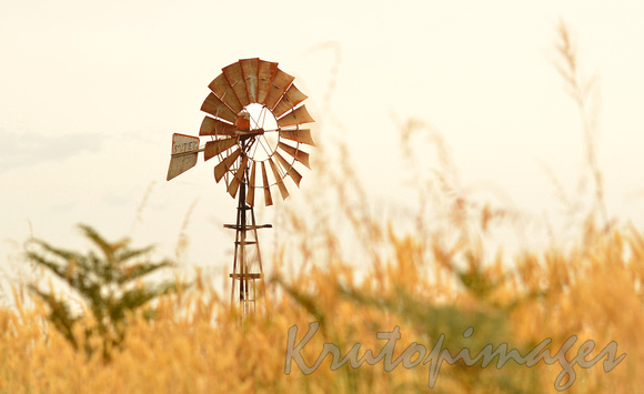irrigation windmill at sunset