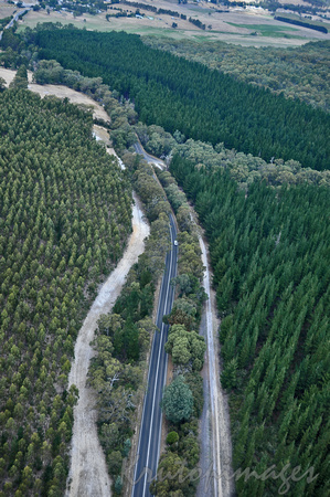 Timber Industry -tree farms and road_6710