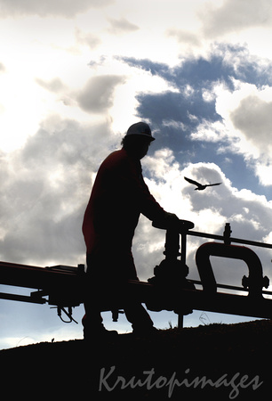 worker silhouetted against sky as a duck flys overhead