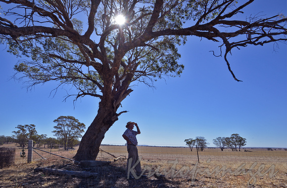 Aussie farmer Albury-in the shade of a gumtree.