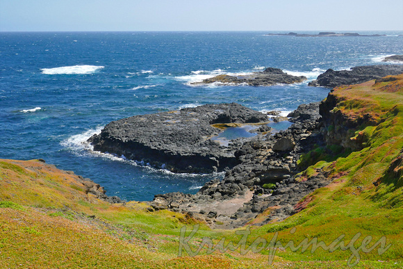 the Nobbies and the rocky outcrops at Phillip Island Sth East Victoria