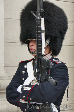 Copenhagen guard at the royal palace.