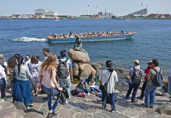 Copenhagen -famous mermaid on the rocks