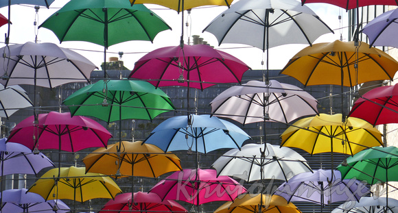 Dublin umbrella display