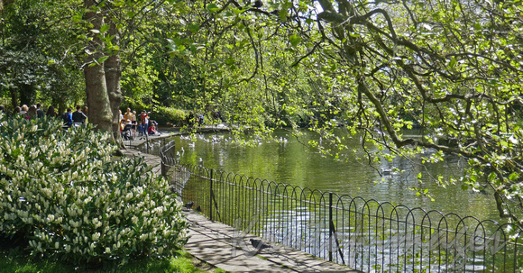 Dublin-public gardens