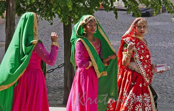 Indian festival in Stockholm Sweden
