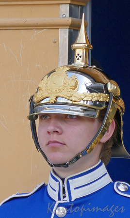 Stockholm Royal Guard