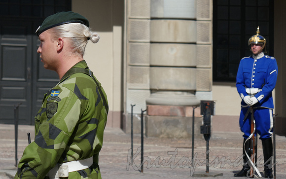 Stockholm guards at palace
