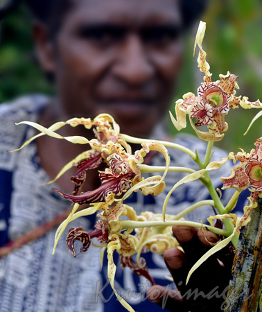 PNG woman with orchids