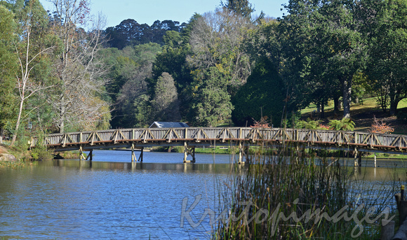 Emerald lake footbridge  Cardinia