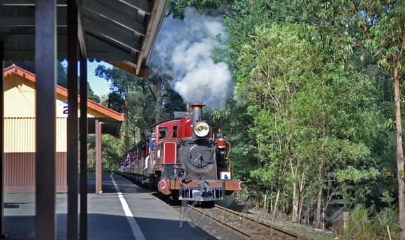 Puffing Billy Emerald Cardinia Sth East Victoria