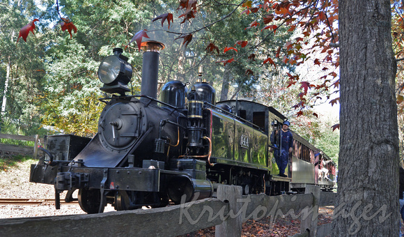 Puffing Billy Emerald Cardinia Sth East Victoria