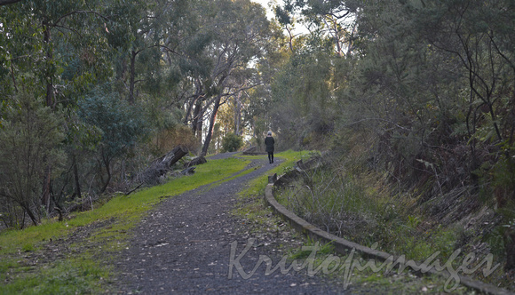 Cardinia Aquaduct trail Sth East Victoria