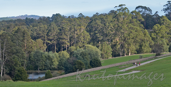 Pepis land-Emerald - Cardinia area Sth East Victoria