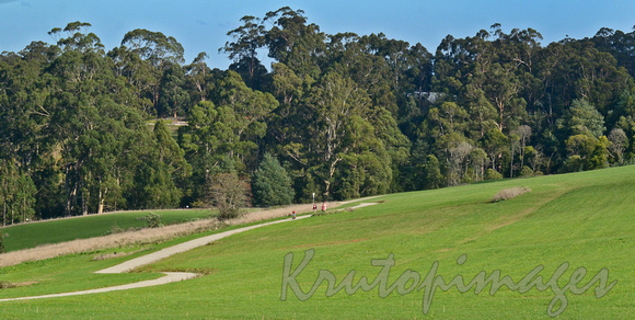 Pepis land-Emerald - Cardinia area Sth East Victoria