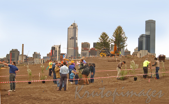 Docklands residents form a line to plant tree on site 2003