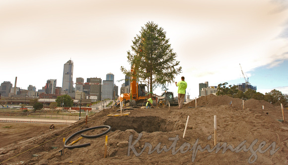 Docklands -trees erected on site 2003-2773