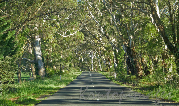 New South Wales back roads