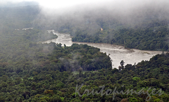 Papua New Guinea river and jungle