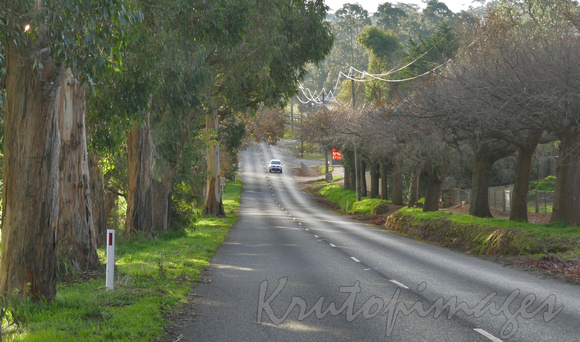 Gembrook road