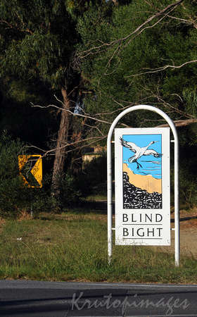 Blind Bight-Cardinia waterfront