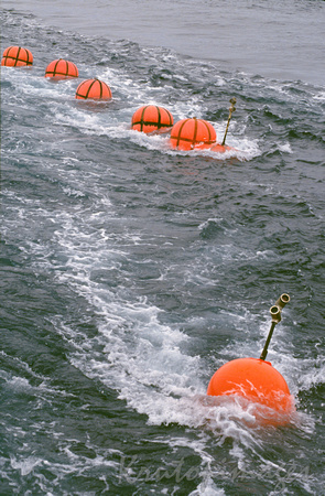 Seismic buoys in tow on Bass Strait