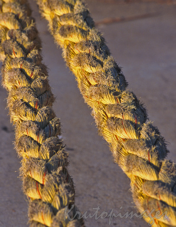 Ropes used in the dock