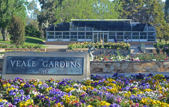 Veale Gardens-Adelaide_4786
