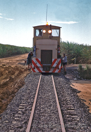Sugar cane train on new tracks Nth Queensland