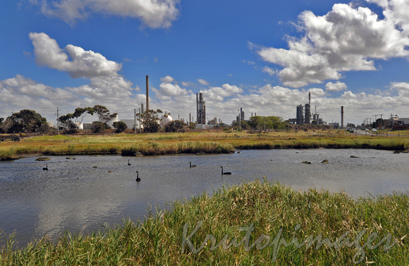 environment with refinery backdrop