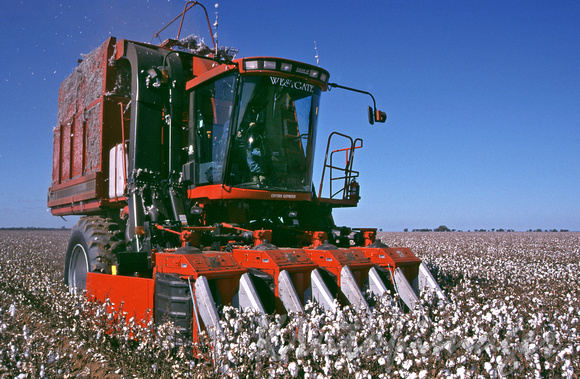 Cotton harvesting in Northern Queensland.