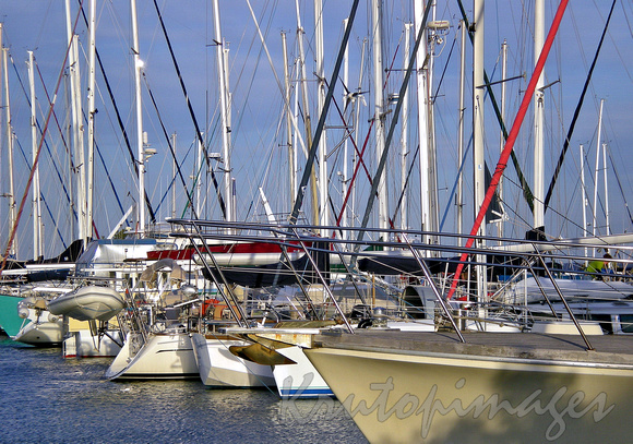 Yachts in harbour -Hobart