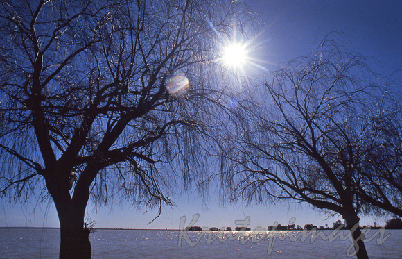 flooding along the Murray river-sun into lense and bright blue sky-sc