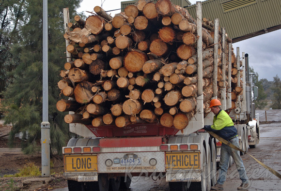 Timber industry -laden log truck
