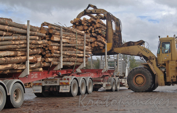 Timber Industry- loading a logging truck